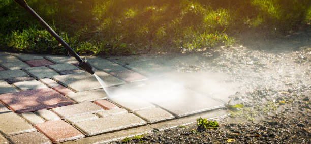 Best Roof Washing  in Winfield, TN
