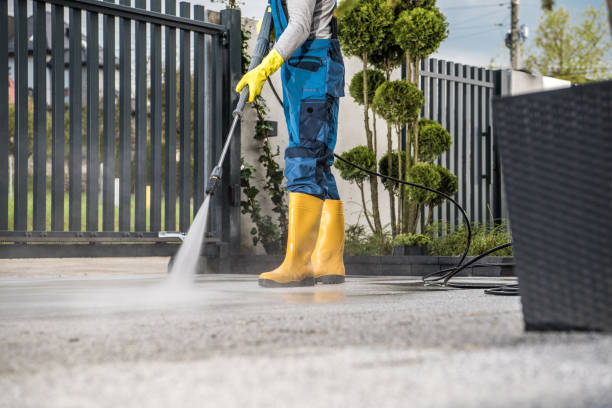 Best Sidewalk and Walkway Cleaning  in Winfield, TN